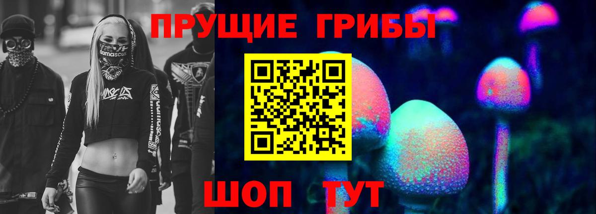 Псилоцибиновые грибы Cubensis  Вход с VPN  Мариинск  Галлюциногенные грибы Cubensis 