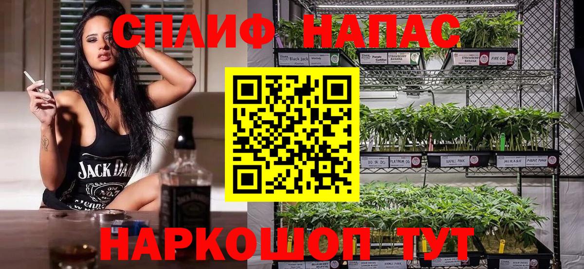 Канабис конопля  Бошки марихуана MAZAR  Мариинск  Вход с VPN 